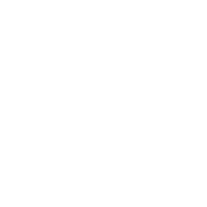 Skunk Odor