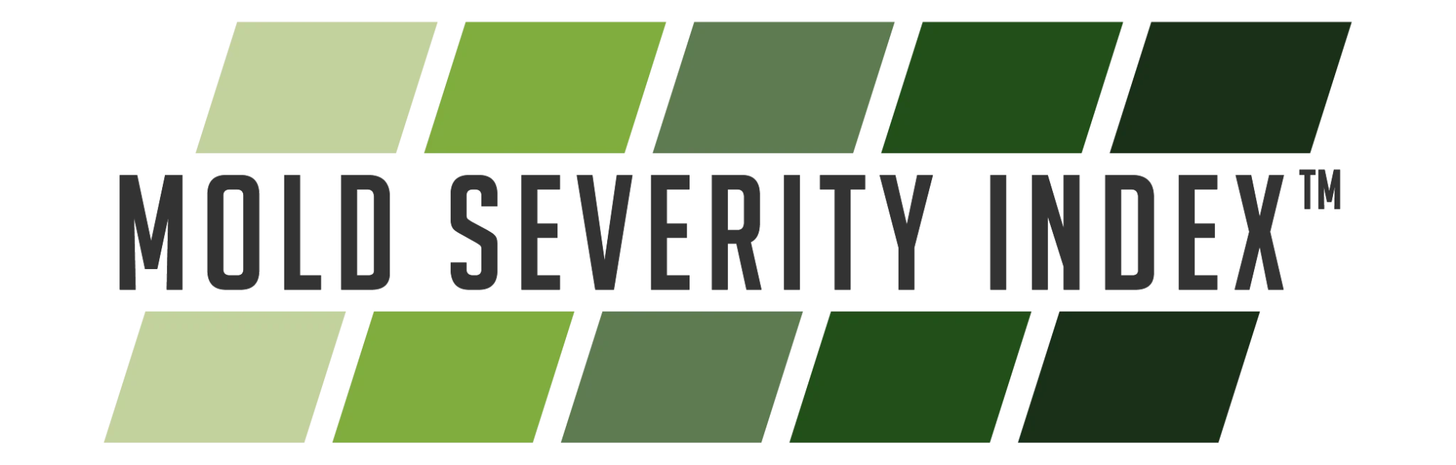 Mold Severity Index